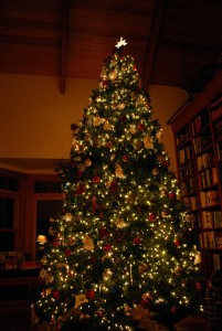 12262013ochristmastree