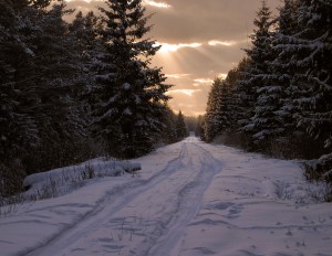 Have Yourself a Merry Little Christmas