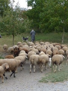 We do not know exactly when Jesus was born, but we are told that "shepherds were in the fields abiding their sheep." This suggest possibly sometime in the Spring, but no one knows for sure.