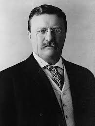 Presidents: Theodore Roosevelt