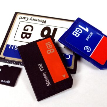 3 Reasons to Save Your Family History off of Ancestry.com