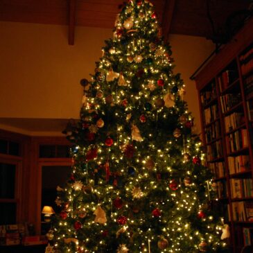 9 Ways to Enjoy Christmas with Family