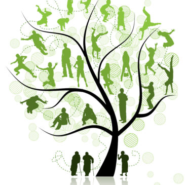 5 Questions to Consider when Exploring other Researchers Family Trees