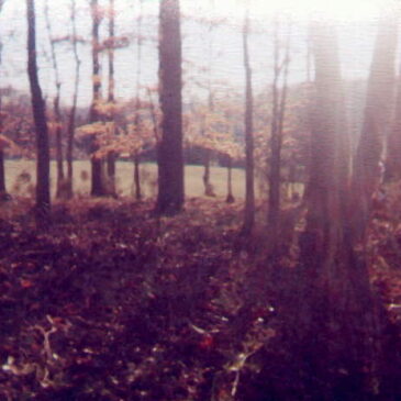 When an Ancestor is buried on Private Property