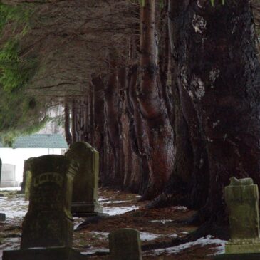 Genealogy Friday: 9 Tips for Cemetery Hopping