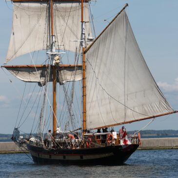 Genealogy Friday: What is the Difference between Immigration vs. Emigration