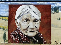 Will DNA test tell me if I have Native American blood?