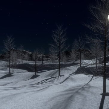 Why Did My Ancestor Settle Here?