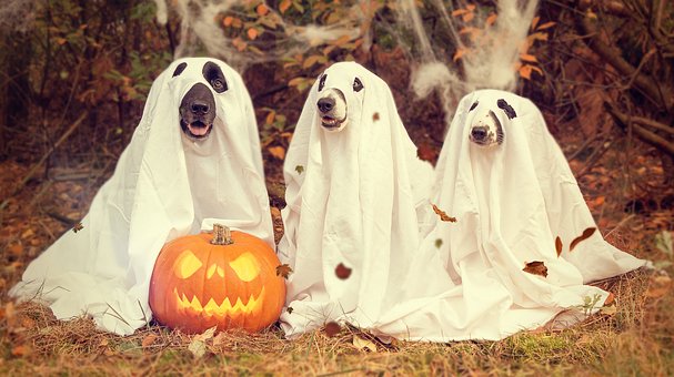 History of Halloween