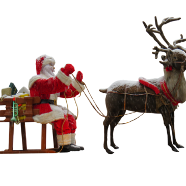 Christmas Traditions: Reindeer